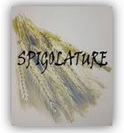 spigolature spigolature